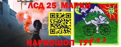 крисы Ставрополь