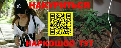крисы Ставрополь