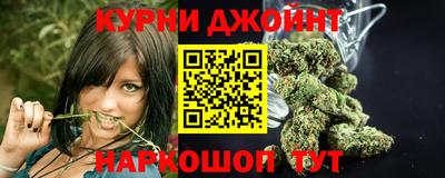 крисы Ставрополь