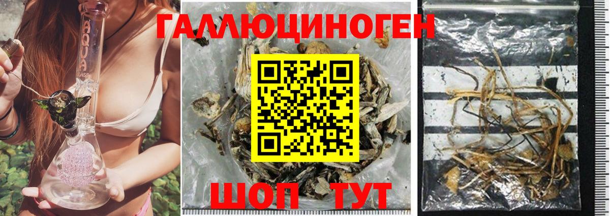 Галлюциногенные грибы мухоморы Удомля