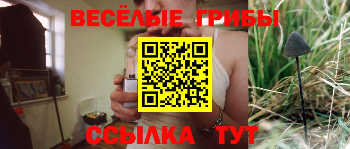 Галлюциногенные грибы прущие грибы  Галлюциногенные грибы Psilocybe  Удомля  Вход с VPN 